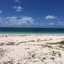 アイヤル浜、その?。