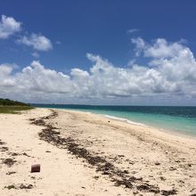 アイヤル浜、その?。