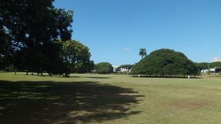 まさにCMのまんまです