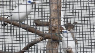 無料で珍しい動物たちに会えます。