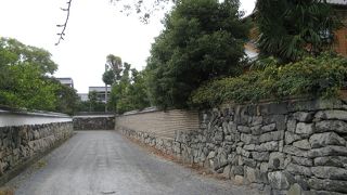 萩らしい風情を残す静かな散策道