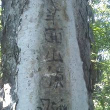 ワイルド感たっぷりの下半面山山頂！