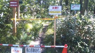 本当の山頂、と思しき場所は凄くワイルドでした