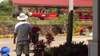 美味しいパイナップル