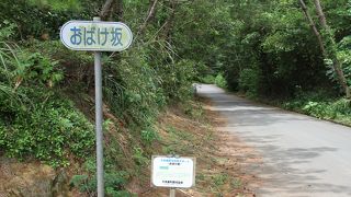 転がりやすいボールを持参すると　より楽しめると思います