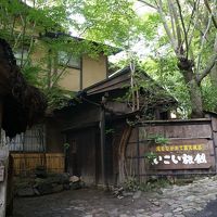 緑がきれいでした