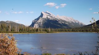 一番のお気に入り