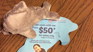 大人も楽しめるウォーターパーク