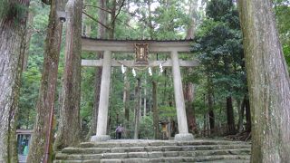 那智の滝を見に行けば必ず行く神社です。