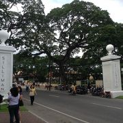 日本からの留学生も多くいる大学