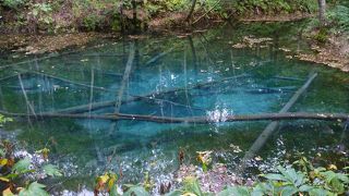 秘境の雰囲気のはずなのですが