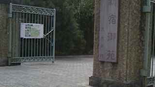 新宿でおすすめの公園ですよ