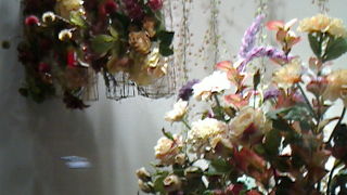 秋色のフラワーにかこまれて。