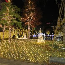 警固公園のライトアップ