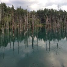 雲が厚く、青色には見えませんでした。