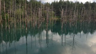 お天気の良い日に