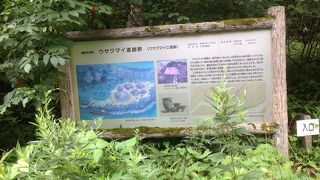 ウサクマイ遺跡群