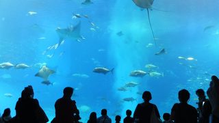 夏場は4時からチケットがおすすめ