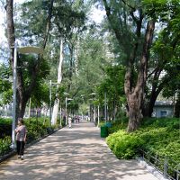 部屋から出たら目の前は緑豊かなビクトリアパーク