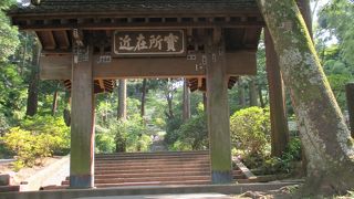 裏山を登ると海蔵寺の真裏を経て源氏山公園に