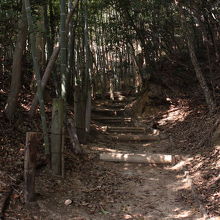 展望公園への道