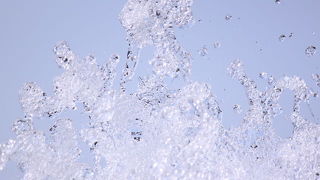 森林の中にいるような