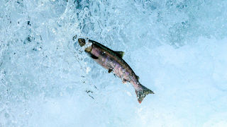 時が経つのを忘れる