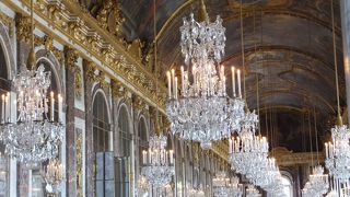 ガイド付きツアーが便利