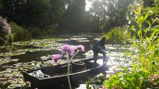 人が多いですが、きれいな庭です。