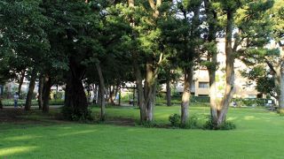 旧三井文庫の緑が多い公園