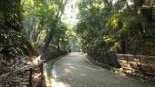 大都会のオアシス！ 