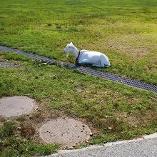 山羊ものんびり