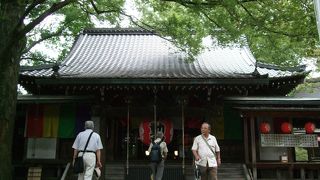 目黒通りの正門から入って参拝、階段を下りて等々力渓谷の散策がお薦めコース