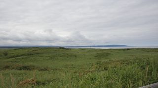 オホーツク海沿いのお花畑