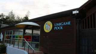 ウミガメのいる道の駅