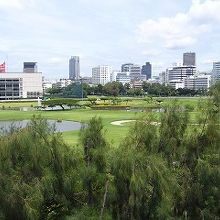 大都会なのに視界が開けて気持ちよい