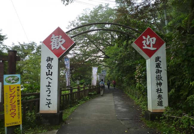 散策路の入口