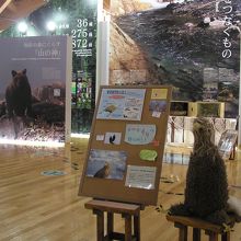 館内の展示コーナー