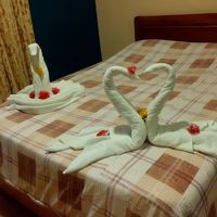 タオルアートのハクチョウたち