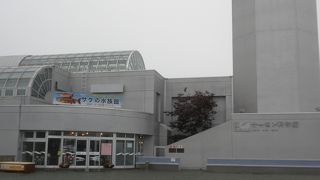 サーモンを科学する