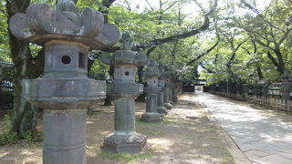 参道脇にズラリと