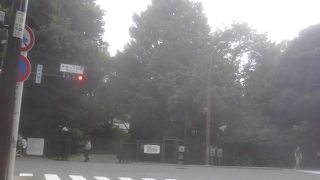 閉鎖される数日前に、たまたま行ってきました。