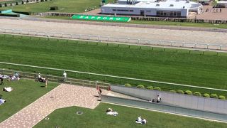 研究された造りの競馬場