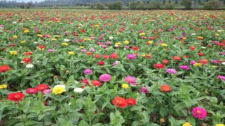 まったり出来て満足です☆