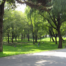 自然に囲まれる。