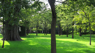 緑が多い落ち着いたキャンパス。