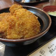 新潟名物　ソースかつ丼