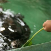 水族館の裏側