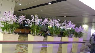 流石に世界を代表する大きな空港です