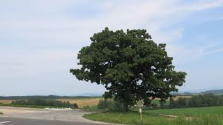 美瑛の代表的な景観